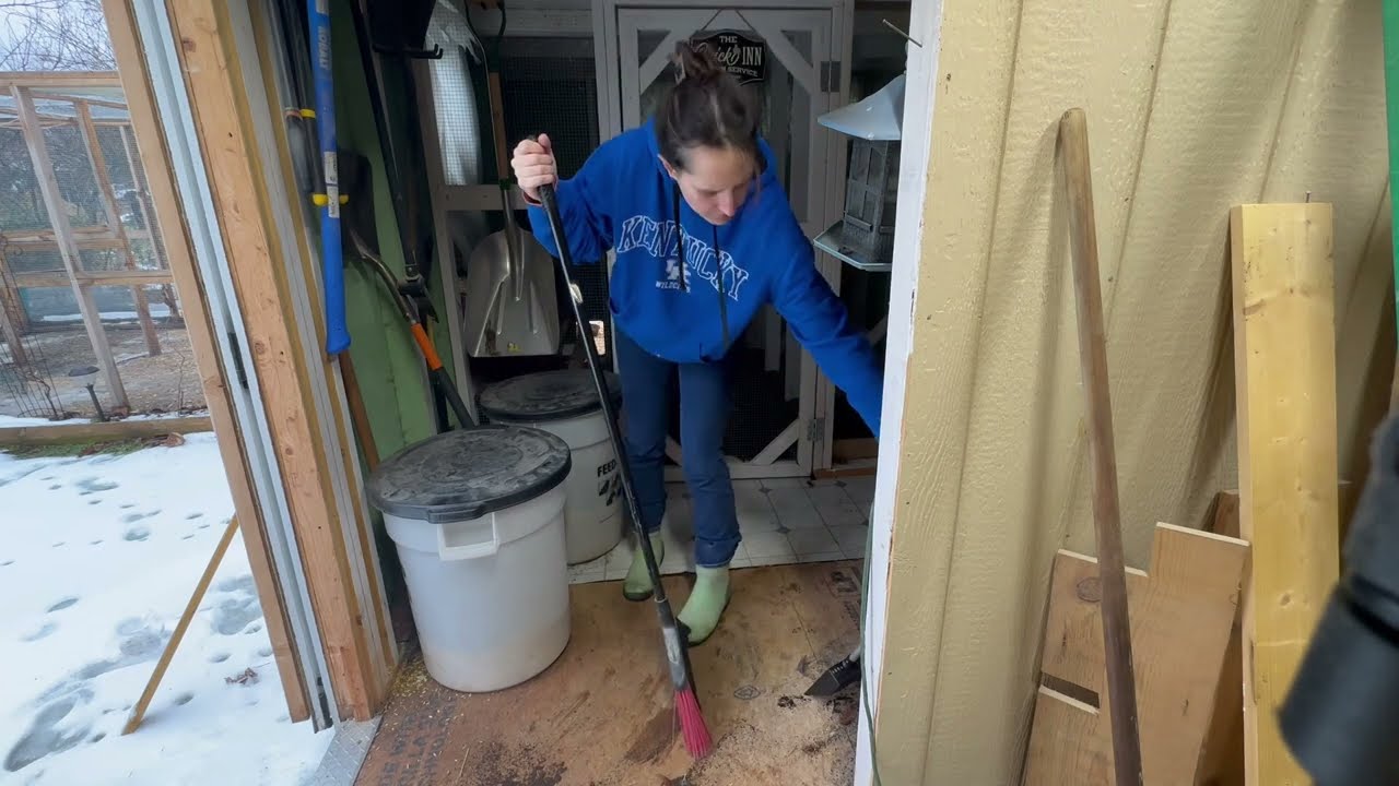 Chicken Coop and Run Clean