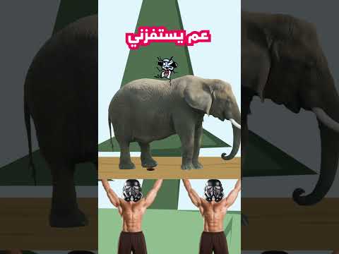 يوم تصحي ابوك بالغلط 