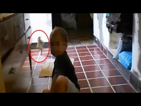 Cinler Hakkında Merak