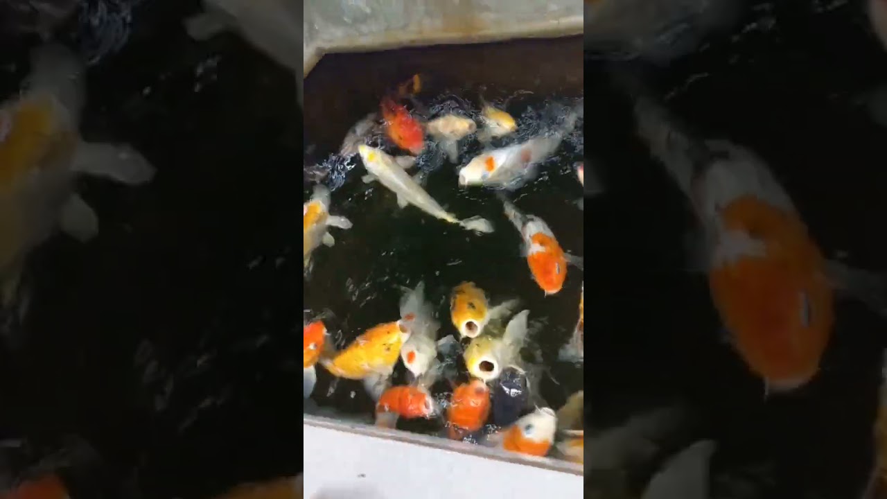 Cà phê cuối tuần 