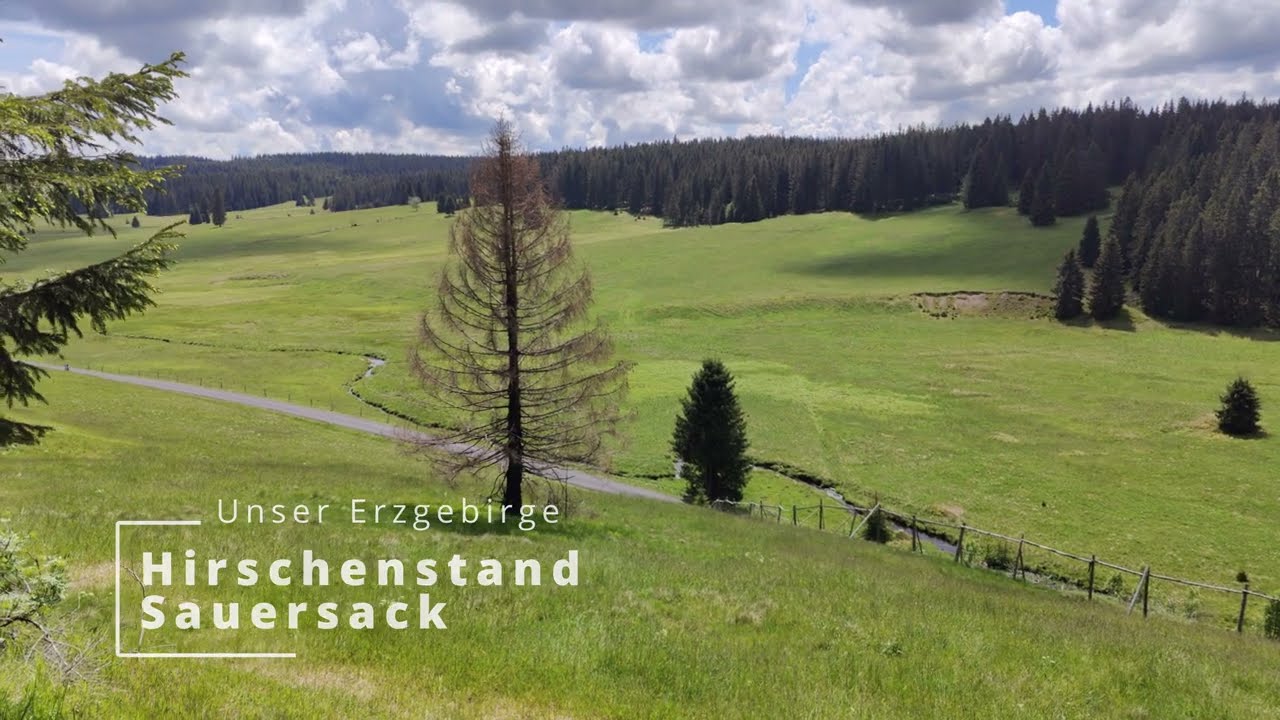 Frühling im Erzgebirge, Hirschenstand und Strasse nach Sauersack (Jeleni, Přebuz Tschechien)