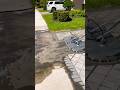 The Mondo 💪 #cleaning #satisfying #pavercleaning #powerwashing #pressurewashing #cleaning #viral