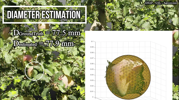 In-field apple size estimation using photogrammetry-derived 3D point clouds