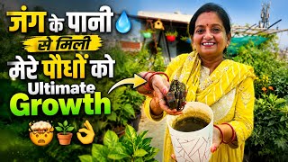 जंग के पानी से मिली पौधों को Ultimate Growth 🪴👌 Vegetable Garden Tour Part-02