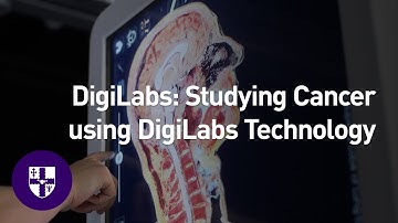DigiLabs: kankerbiologie verkennen met geavanceerde 3D-technologie