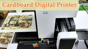 Epson A3+ Carboard Printing Machine: RobotJet Single Pass Digital Printer!
