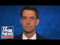 Rep. Tom Cotton: Russia bounty intel 'selectively leaked' to help Biden campaign