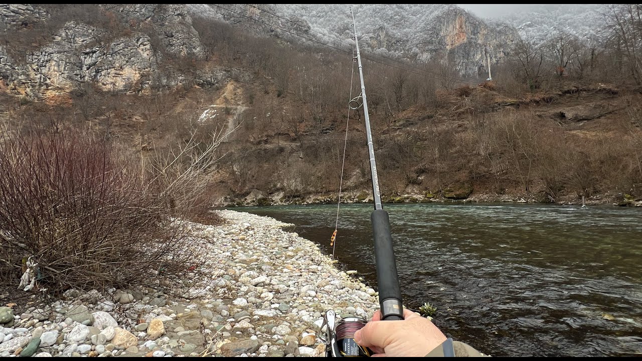 Mladica sa Lima - Revir Tifran - Sezona 24/25 - Hucho Fishing