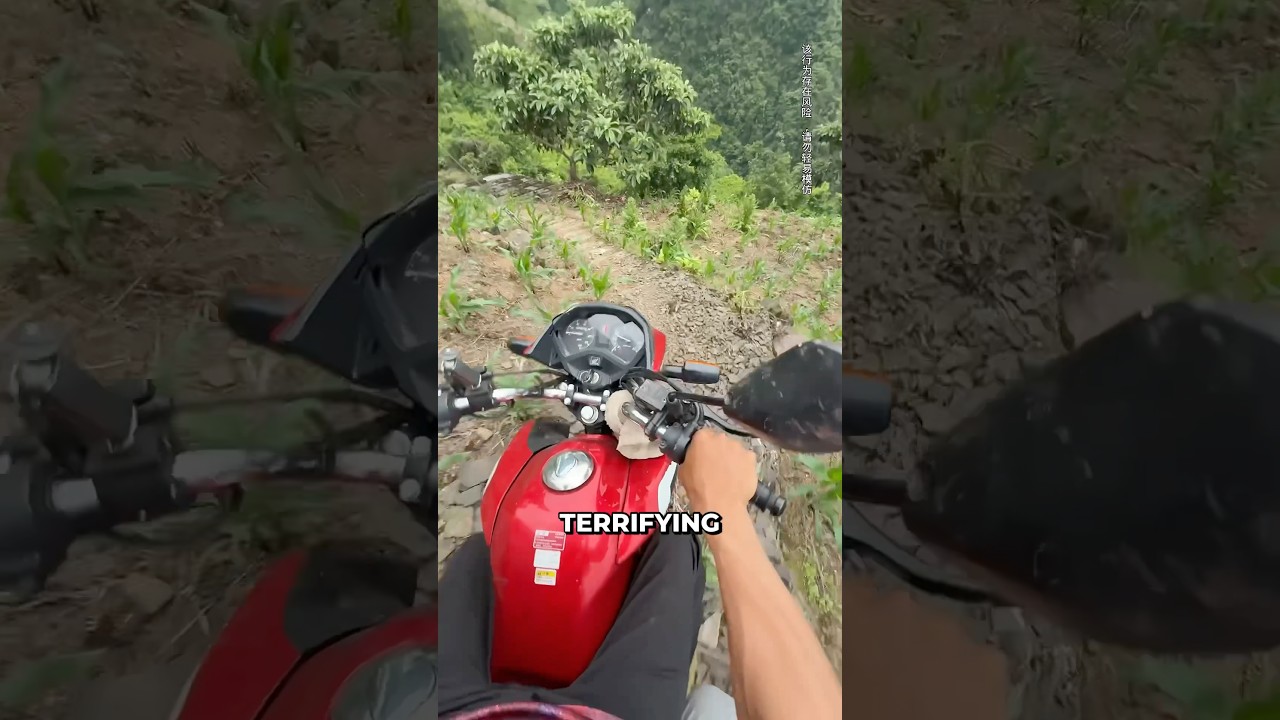His Brother Made A Big Mistake By Getting On The Bike 😂