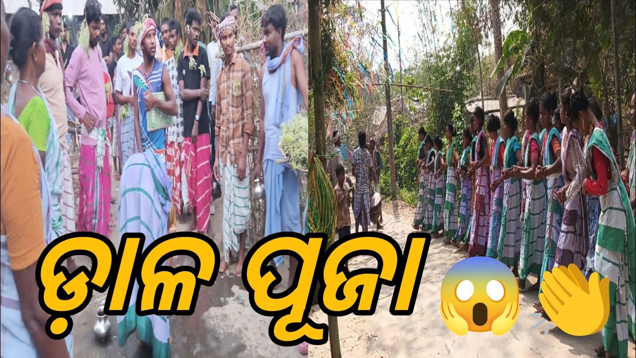 ଡ଼ାଳ ପୂଜା 😱👏        22 February 2026