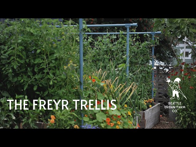 string trellis — Freyr Trellis Delights: Grow Your Favorite Crops