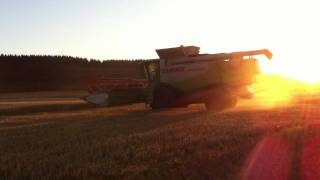 Moisson 2011 d'escourgeon dans l'Eure avec une Claas Lexion 600 et V1050
