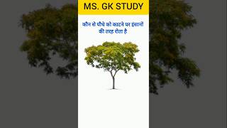 General knowledge questions Answers in Hindi #shortvideo #gk #gktoday #gkfacts #gkquestion