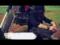 حالات وتس اب جهاديه حزينه رباااه فارقني الاحبة كلهم اناشيد جهاديه دينيه اسلاميه مقاطع انستا حالات وتس اب جهاديه حزينه رباااه فارقني الاحبة كلهم اناشيد جهاديه دينيه اسلاميه مقاطع انستا