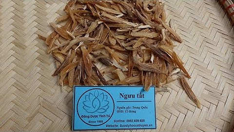 NGƯU TẤT : Vị thuốc có tác dụng điều trị thoái hóa khớp