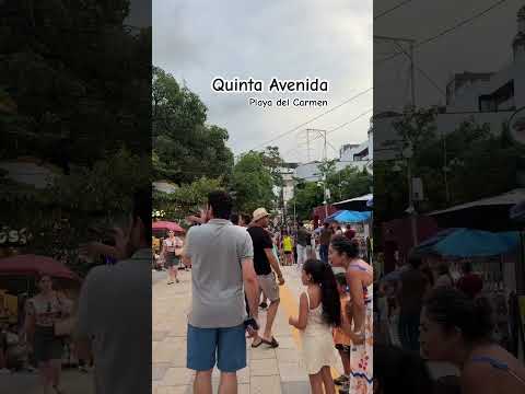 Quinta Avenida, Playa del Carmen #shorts #shortvideo