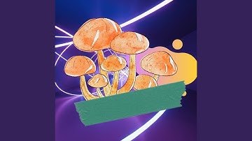 Pulsating Trumpet Jazz Trio - Vibe for Entertaining Loads