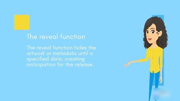 An explanation video for ERC721(A) smartcontract functions.