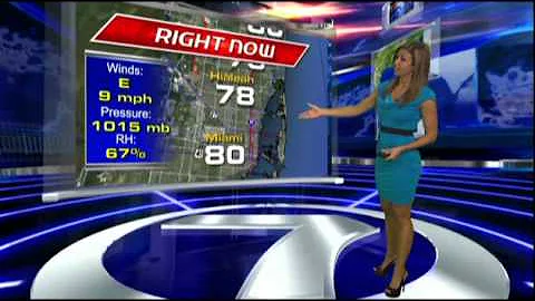 WSVN Weather Julie Durda Hot Blue Dress