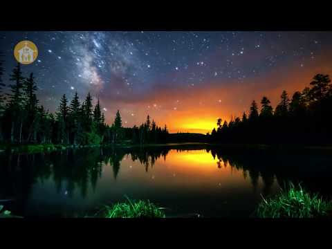 ჩემი გამგები უფალო მხოლოდ შენ ხარ