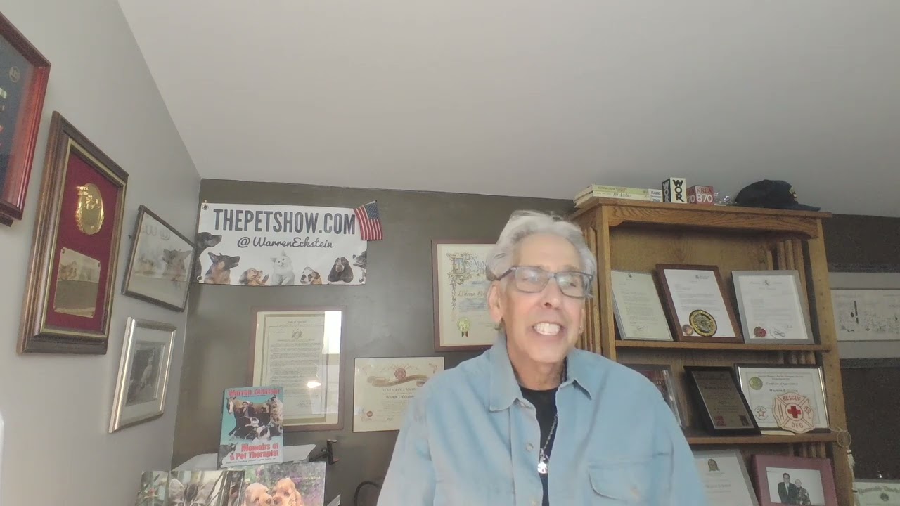 Игры с вашим питомцем меняют всё — вот почему.