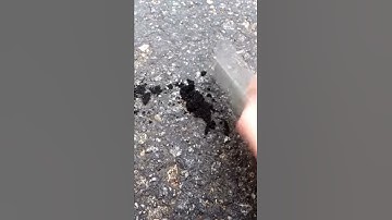Thumbnail of Just a normal day in Finland