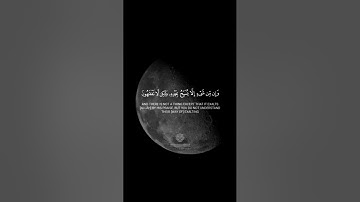 القارئ 🎤 يوسف العيدروس ۞‏تُسبِّحُ لهُ السماواتُ السبعُ والأرضُ ومن فيهِنَّ۞