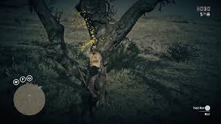 Treasure Map Stuck On A Tree? | Free Roam | RDR2 - Online