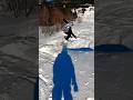 Прыжки с крыши фрирайд Snowboarding Salanga 