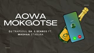 Aowa Mokgotse (Visualizer)