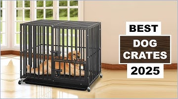 Top 4 Best Dog Crates In [2025]