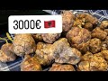 Shqiptarët Mund Të Bëhen Milionerë 1 Kg Nga Kjo Bimë Kushton 3000 Euro Shqiptarët Mund Të Bëhen Milionerë 1 Kg Nga Kjo Bimë Kushton 3000 Euro