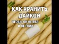 Как хранить дайкон, чтобы он не вял и не гнил.
