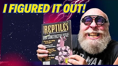 How i figured out how to breed Boa Constrictor snakes