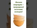 Яичная скорлупа-природный источник кальция. #здоровье #рецепты #полезныепродукты