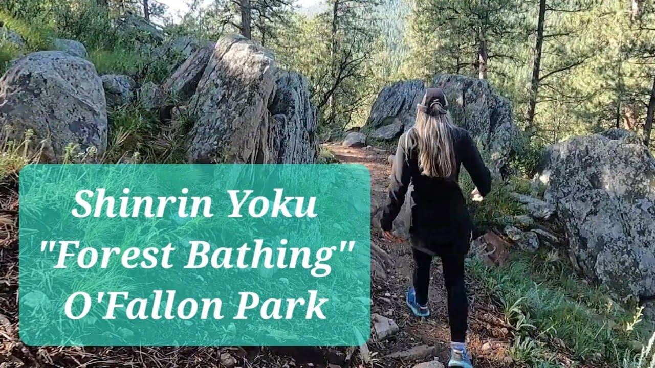 Shinrin Yoku - Forest Bathing O'Fallon Park - YouTube