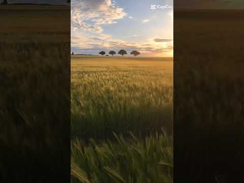 (No Ads) relaxing sleep music for meditation 