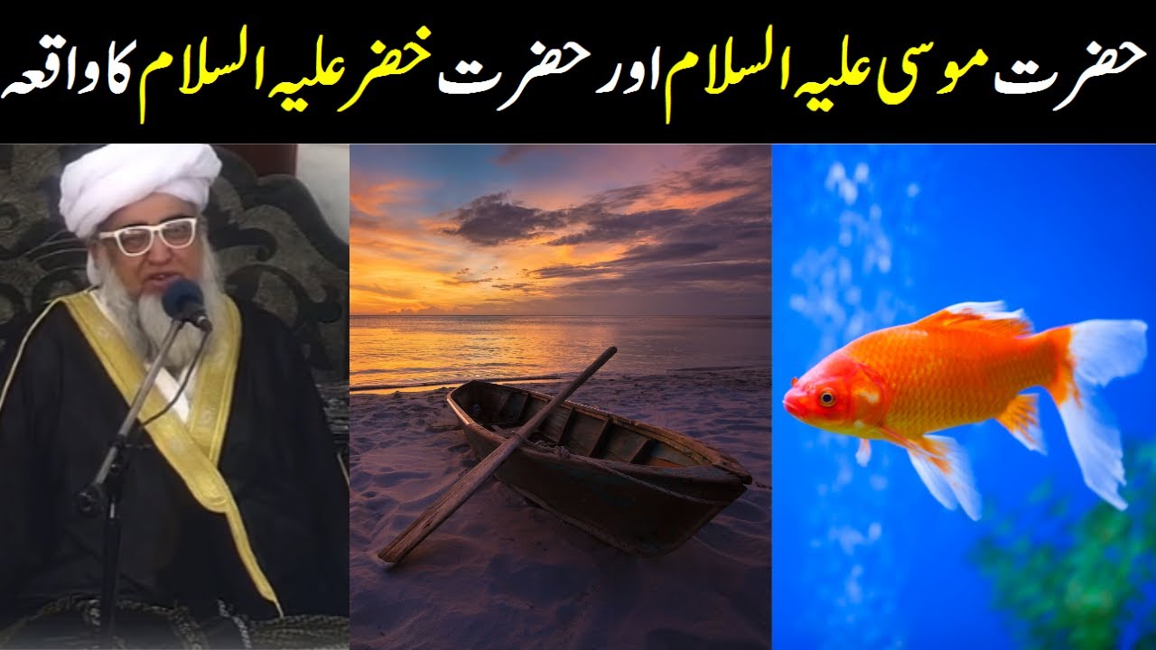 Hazrat MUSA or Hazrat KHIZAR ka Waqia | حضرت موسی  اور خضر کا واقعہ | Mufti Zarwali Khan Official