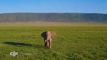 DJI - Zenmuse X5R Highlights: Africa’s Garden of Eden