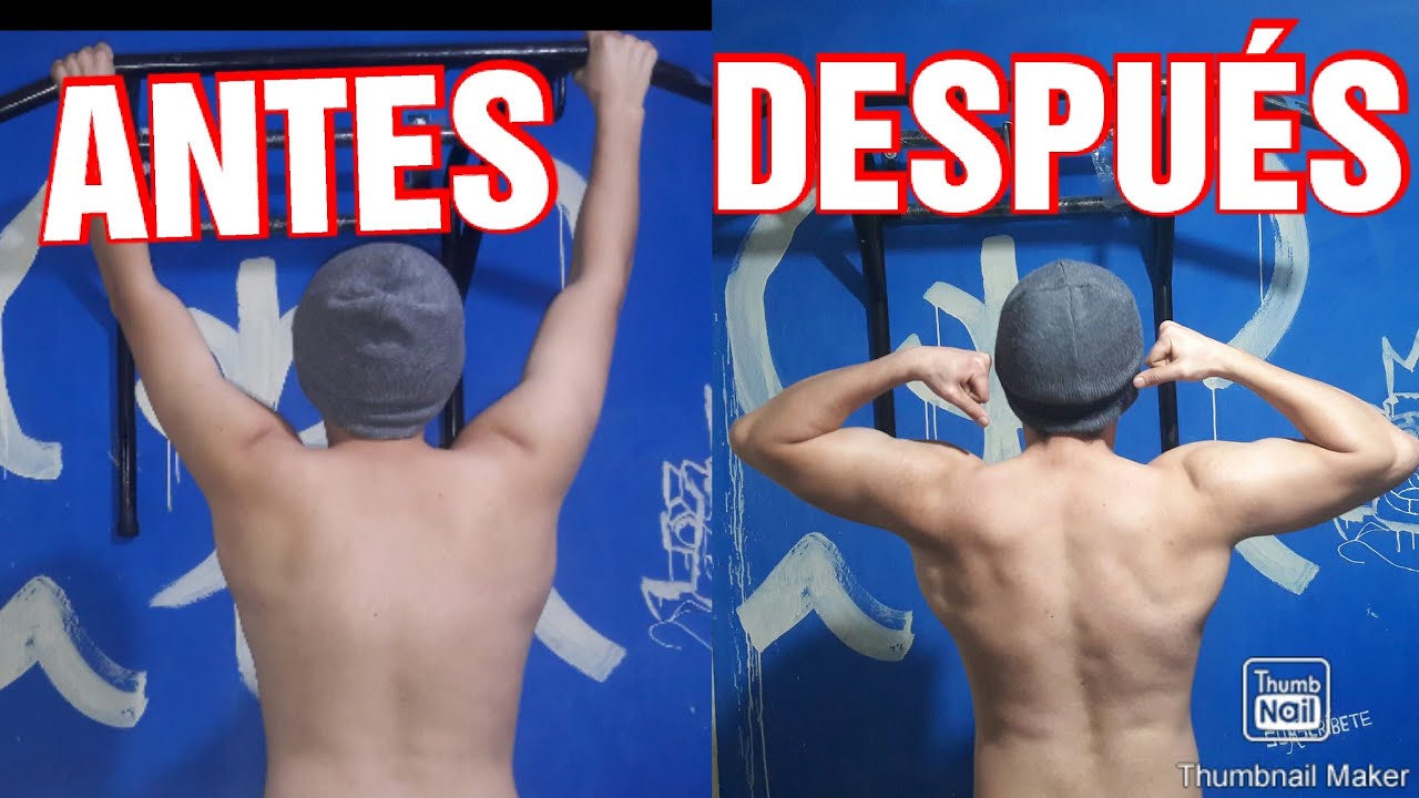 100 dominadas diarias