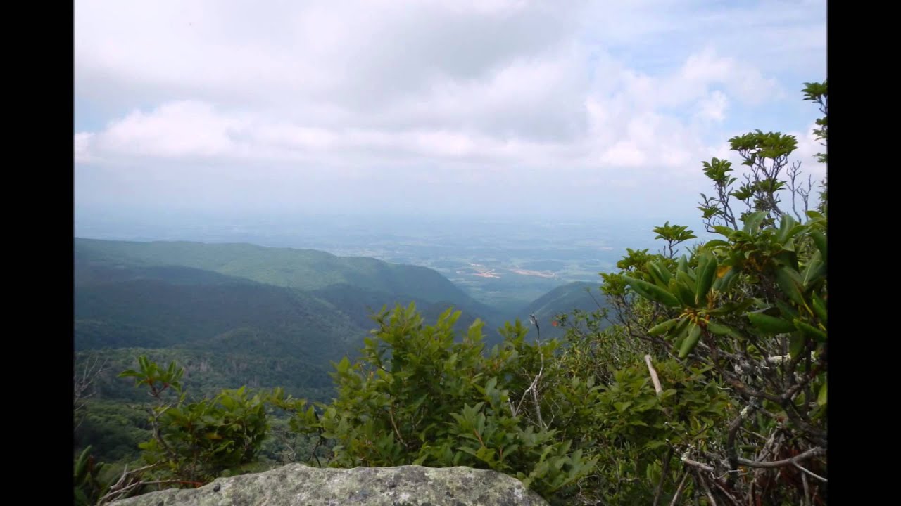 backpacking hammock Appalachian Trail - North Carolina (Sams Gap to Hot Springs)
