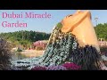 DUBAI MIRACLE GARDEN 2020 Virtual tour DUBAI Today Travel in covid November 2020 Vlog Отдых в Дубай