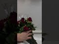 Drying Roses 