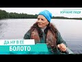 Как живет хранительница белорусских болот. Увлечение, что может затянуть | Хорошие люди