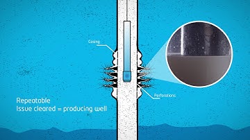 Simple WASP® Explainer