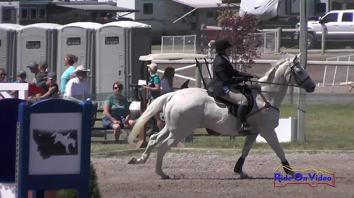 527S Jane Karas on Change of Pace SR Novice Show J...