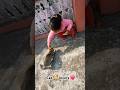 बिल्ली मौसी #cat #catlover #catshorts #catvideos #villagelife #pahadi #himalayas @manfromhimalayan