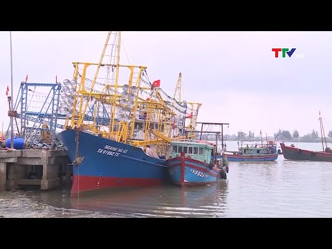 Video Tìm giải pháp gỡ 
