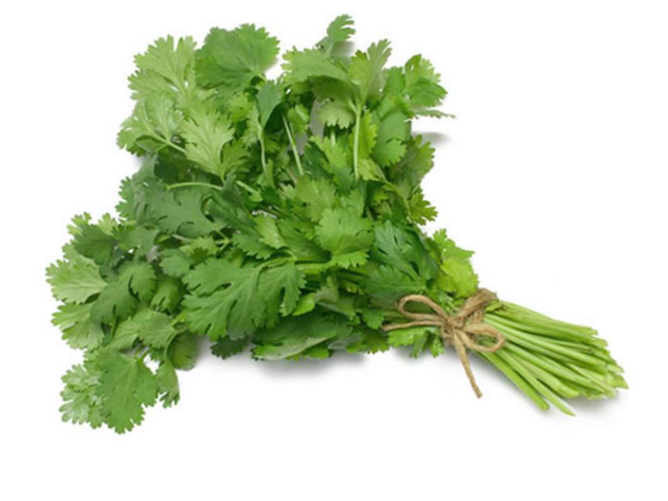 vegetables marathi flash cards YouTube