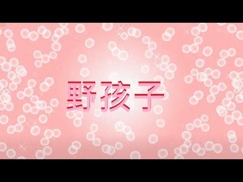 野孩子 Cover TEST